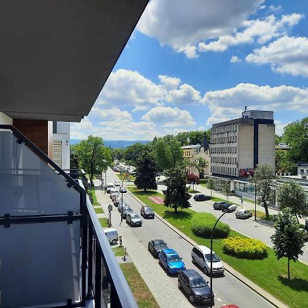 Apartament Przy Plantach โนวิซอนช์ ภายนอก รูปภาพ